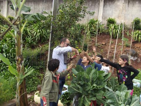 Os alunos a apanharem morangos da horta bio